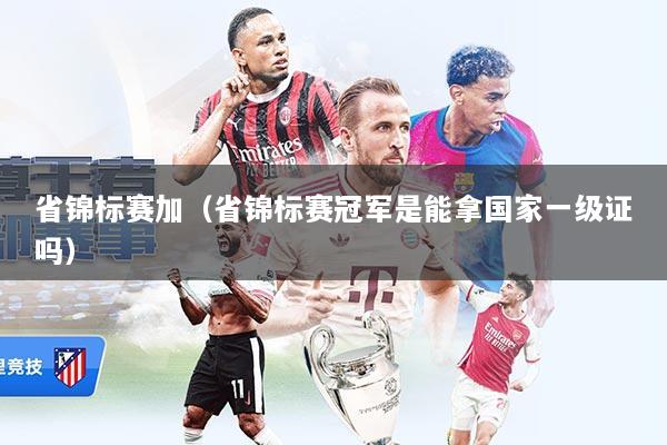 省锦标赛加（省锦标赛冠军是能拿国家一级证吗）
