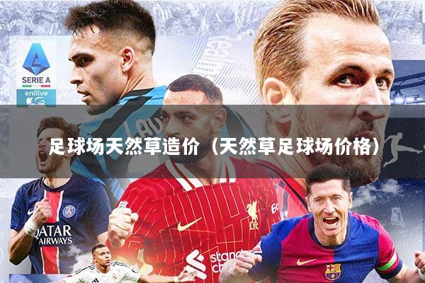 足球场天然草造价（天然草足球场价格）