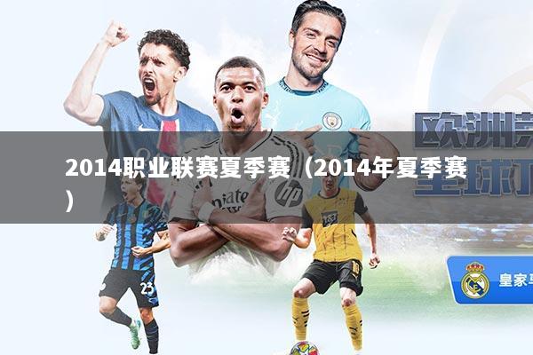 2014职业联赛夏季赛(2014年夏季赛)