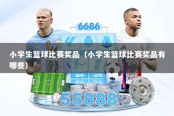 小学生篮球比赛奖品（小学生篮球比赛奖品有哪些）