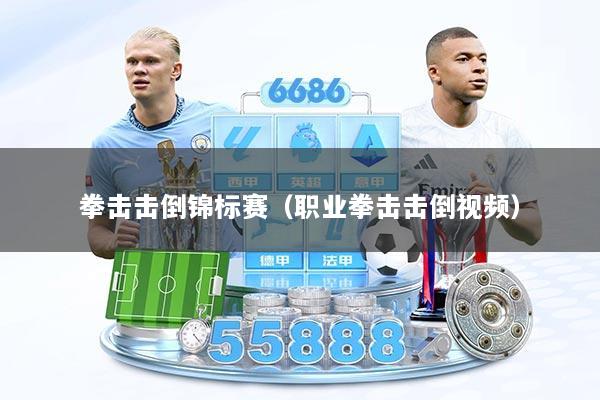 拳击击倒锦标赛（职业拳击击倒视频）